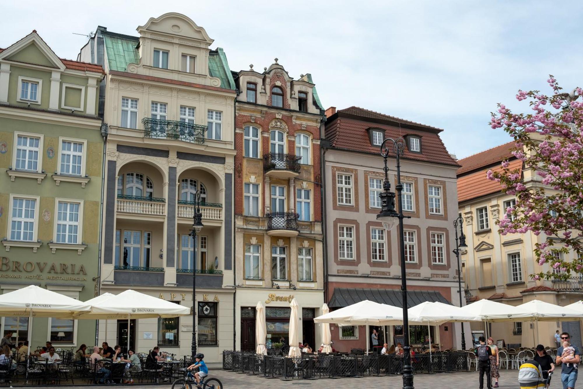 Apartamenty Drevny Kocur Poznan Ngoại thất bức ảnh