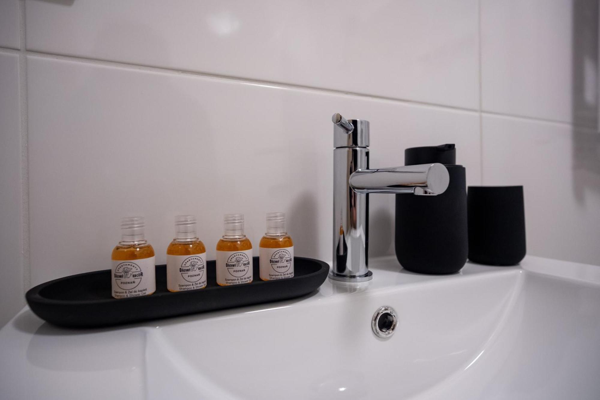 Apartamenty Drevny Kocur Poznan Ngoại thất bức ảnh